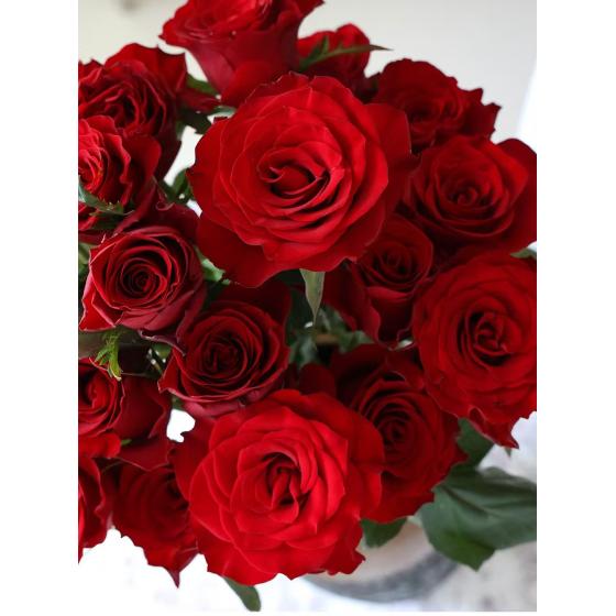 red rose