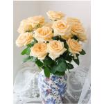 champagne rose