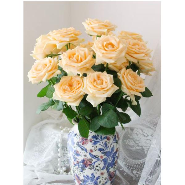 champagne rose