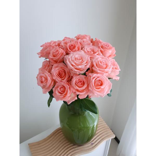peach rose