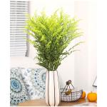 Solidago