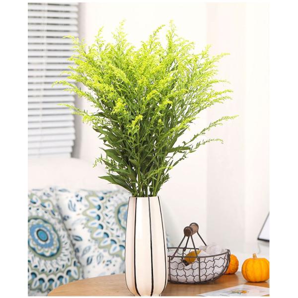 Solidago