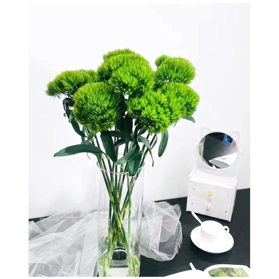 Green Brunia