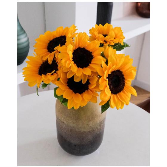 Black-eyed Sunflower