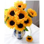 Mini Black-eyed Sunflower