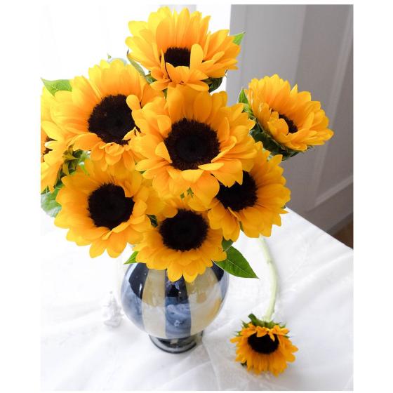 Mini Black-eyed Sunflower