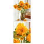 Double Sunflower
