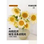 奶油向日葵