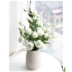 Lisianthus - White