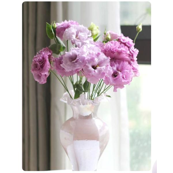 Lisianthus - Wavy Light Purple