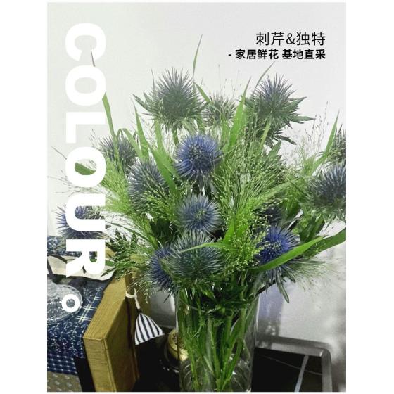 Imported Eryngium (Blue Globe)