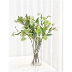 Imported Hellebore (Green)
