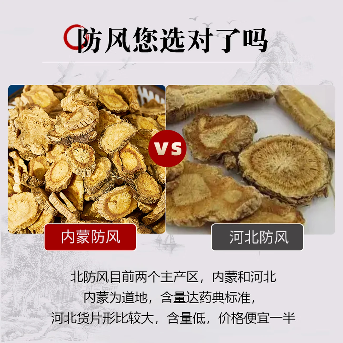 Saposhnikovia Root (Fang Feng), Traditional Chinese Herbal Medicine, Inner Mongolia Origin