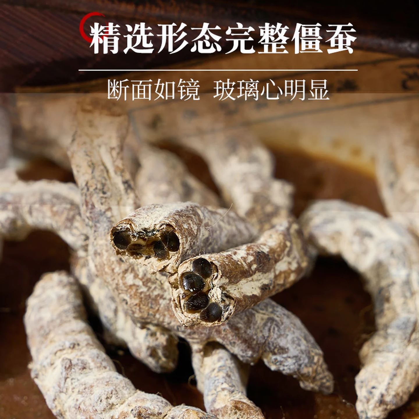 Bombyx Batryticatus (Jiang Can) Traditional Chinese Herbal Medicine, Sichuan Xichang Origin, Washed